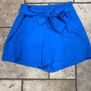 NWOT- Never worn- Dressy blue shirts with front tie